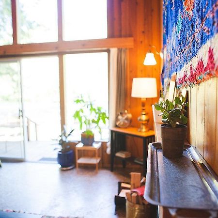 McKenzie Bridge Loloma Lodge And Cabins المظهر الخارجي الصورة